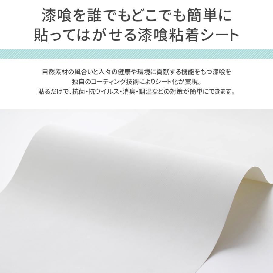 壁紙シール 壁紙 張り替え 自分で Diy おしゃれ 漆喰 貼ってはがせる 補修 リメイクシート 抗菌 消臭 ピタットシックイ サイズ 210 297mm 1枚 Wpsnipsc カーテン レールのインテリアデポ 通販 Yahoo ショッピング