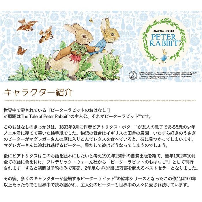 ASAHI(食器、カトラリー) ピーターラビット カトラリーセット ASAHI(食器、カトラリー) ピーターラビット カトラリーセット