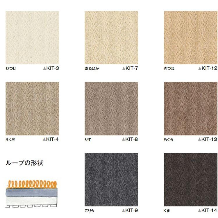 Amazon.co.jp: KAWASAKI (カワサキ) タッチアップペイント