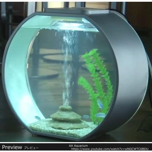 アウトレット送料無料 Deco O Mini 白 丸型ミニ 10lインテリアデザイン水槽セット Wt 1123 01 Interior Fish 通販 Yahoo ショッピング 時間指定不可 Southpointbd Com