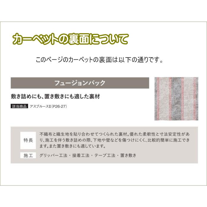 カーペット 防炎 制電 遮音 床暖房対応 遊び毛防止 アスワン ナイロン100% アスブルース2 幅151〜170ｃｍＸ長さ151〜170ｃｍまで_3