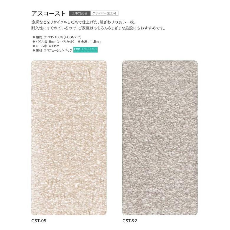 カーペット 防炎 制電 遮音 床暖房対応 遊び毛防止 アスワン ナイロン100% アスコースト 幅361〜400ｃｍＸ長さ130〜150ｃｍまで_1