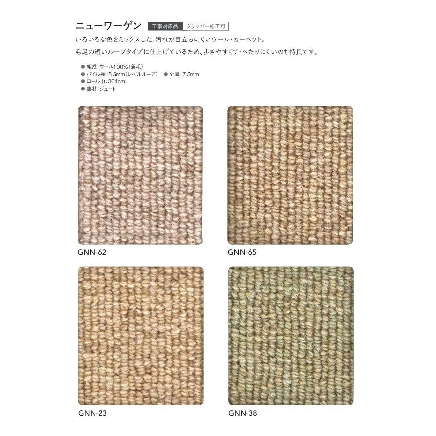 カーペット ウール100% アスワン 防炎 制電 防虫 遮音 床暖房対応 防ダニ ニューワーゲン 幅191〜210ｃｍＸ長さ331〜360ｃｍまで_1