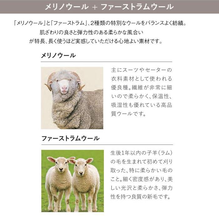 カーペット ウール100% アスワン 防炎 制電 防虫 遮音 床暖房対応 防ダニ アスメロディ2 幅251〜270ｃｍＸ長さ251〜270ｃｍまで