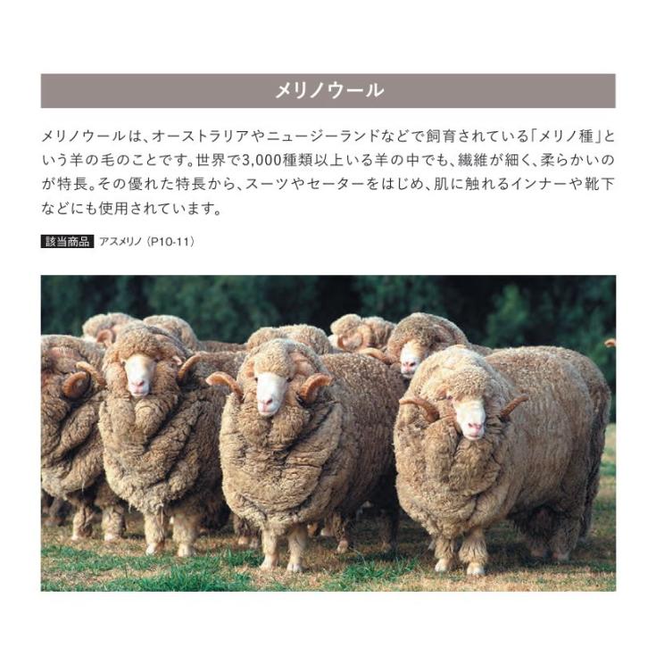 カーペット ウール100% アスワン 防炎 制電 防虫 遮音 床暖房対応 防ダニ アスメリノ 幅151〜170ｃｍＸ長さ231〜250ｃｍまで_3