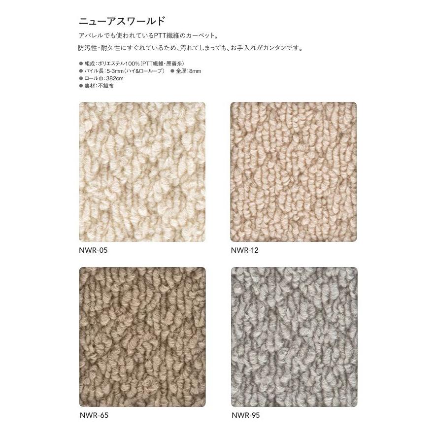 カーペット 防炎 制電 防ダニ 遮音 床暖房対応 アスワン ニューアスワールド 幅130〜150ｃｍＸ長さ231〜250ｃｍまで_1