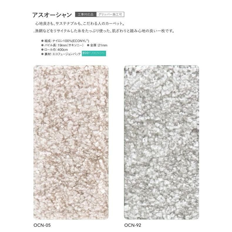カーペット アスワン 防炎 遮音 床暖房対応 遊び毛防止 ナイロン100% アスオーシャン 幅271〜290ｃｍＸ長さ171〜190ｃｍまで_1