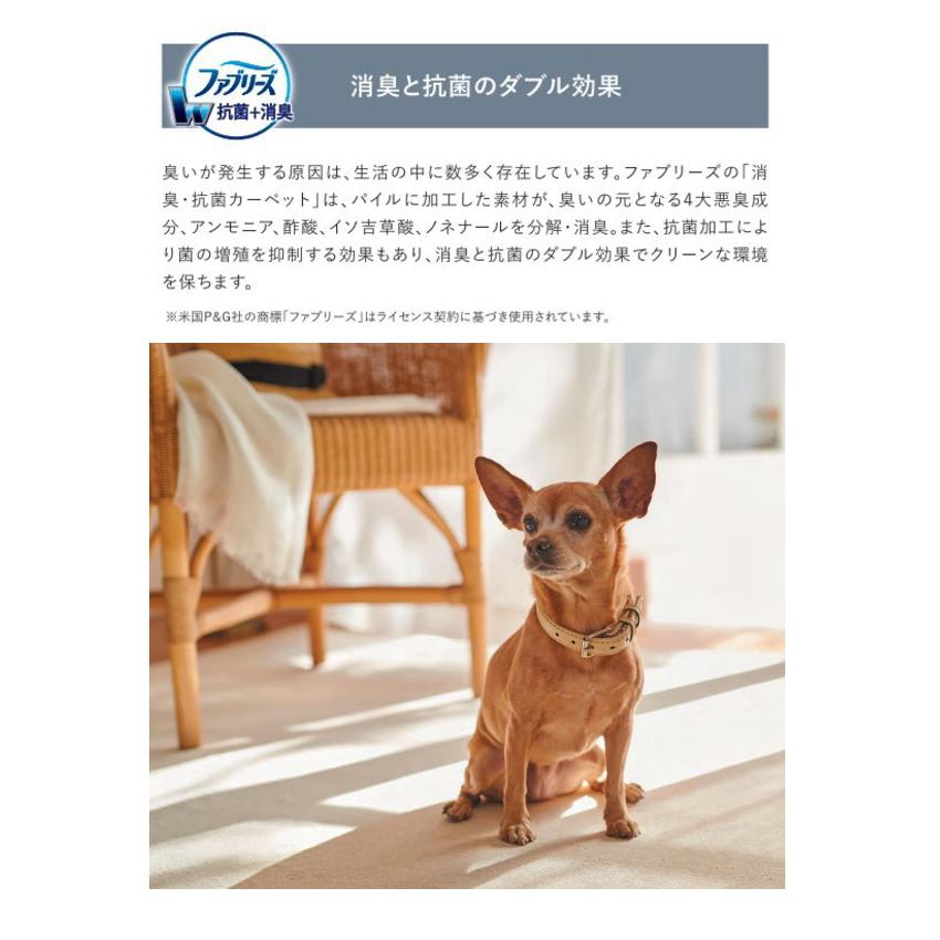 カーペット アスワン ファブリーズ 抗菌 消臭 防炎 制電 遮音 床暖房対応 防ダニ 遊び毛防止 アスポップル 幅211〜230ｃｍＸ長さ130〜150ｃｍまで