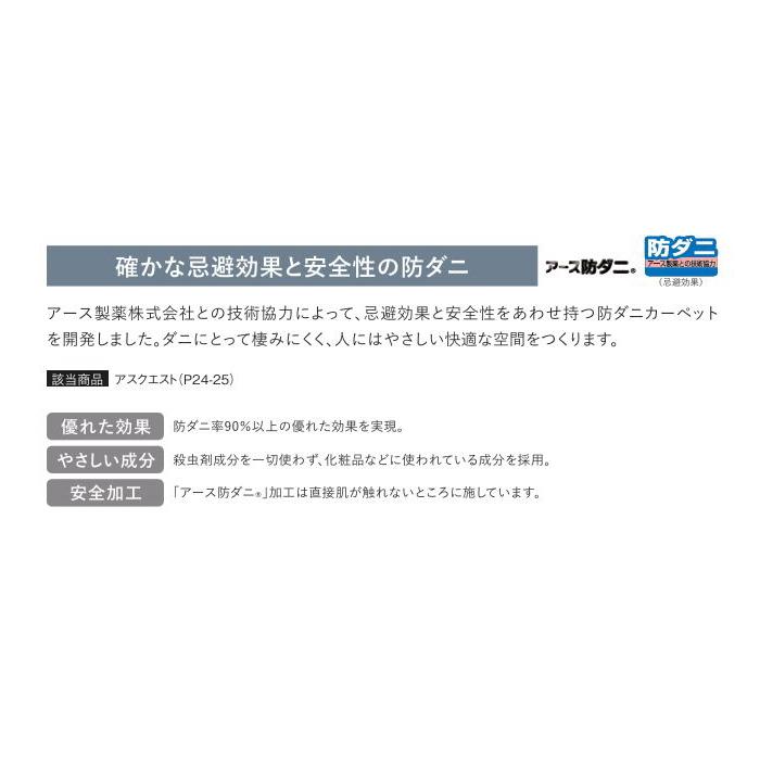 カーペット 防ダニ 防炎 アスワン 制電 遮音 床暖房対応 遊び毛防止 アスクエスト 幅311〜330ｃｍＸ長さ391〜420ｃｍまで_3