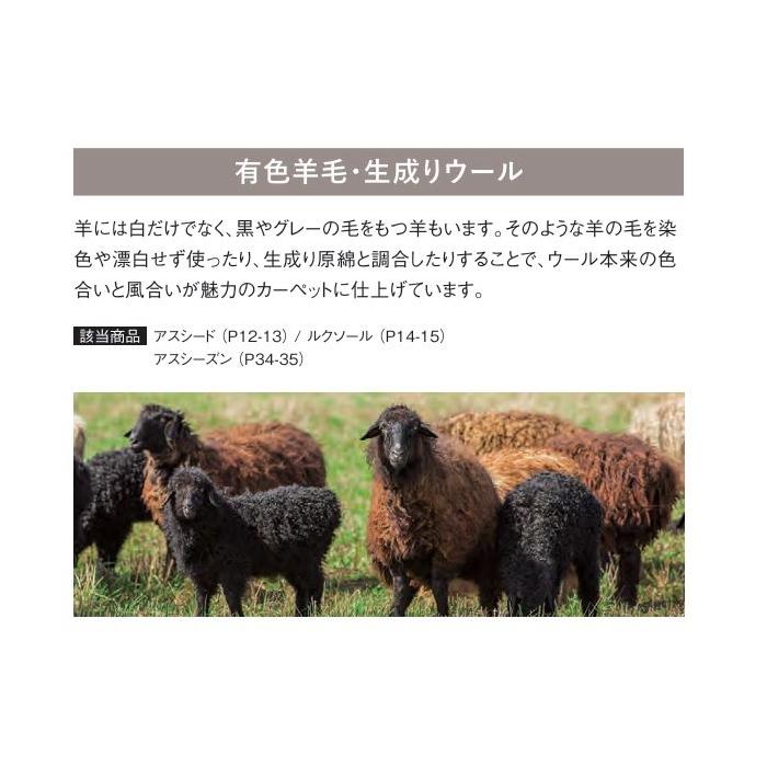 カーペット ウール100% アスワン 防炎 制電 防虫 遮音 床暖房対応 防ダニ アスシード 幅331〜364ｃｍＸ長さ251〜270ｃｍまで_3