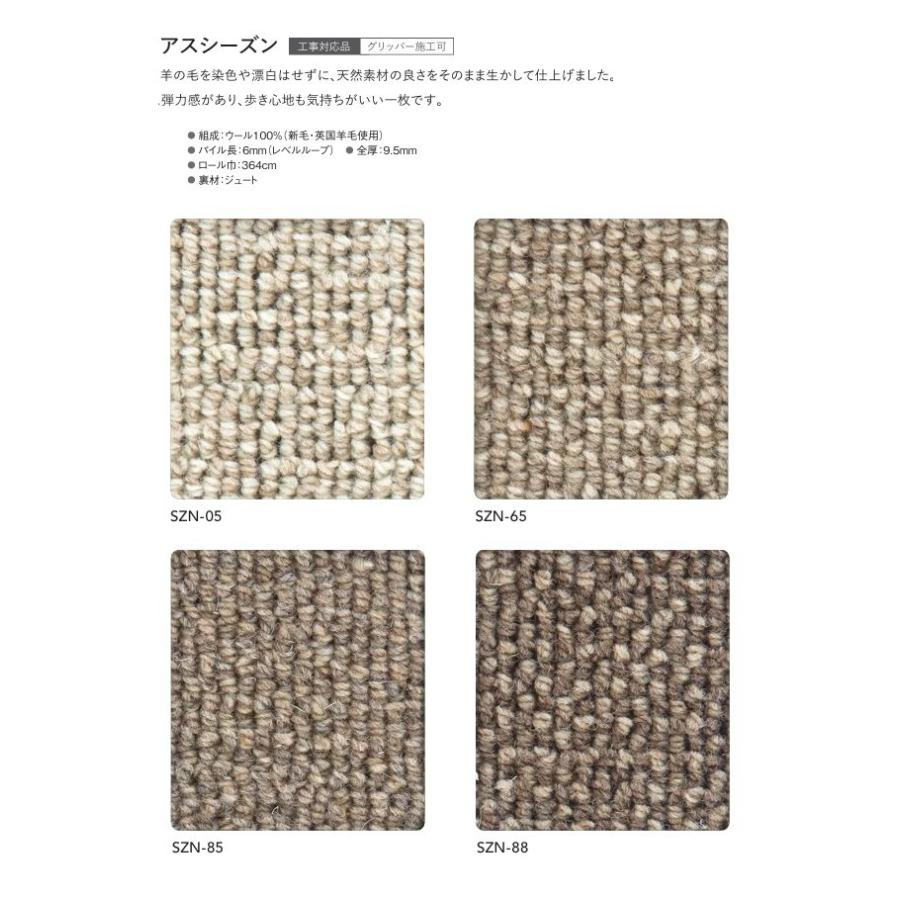 カーペット ウール100% 防炎 制電 防虫 防ダニ 抗菌 遮音 床暖房対応 アスワン アスシーズン 幅130〜150ｃｍＸ長さ271〜290ｃｍまで_1