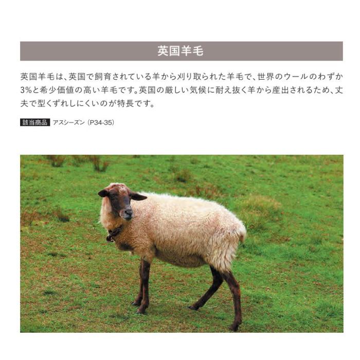 カーペット ウール100% 防炎 制電 防虫 防ダニ 抗菌 遮音 床暖房対応 アスワン アスシーズン 幅291〜310ｃｍＸ長さ251〜270ｃｍまで