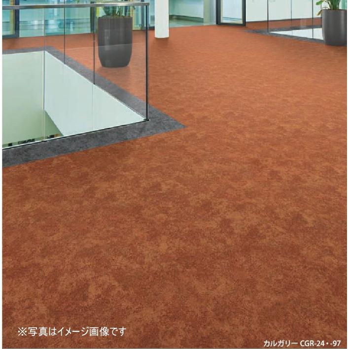 ペット カーペット ラグ アスワン ロボフロアー 撥水 防炎 防音 カット