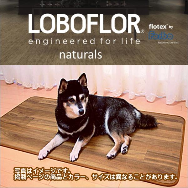 ペット カーペット ラグ アスワン ロボフロアー 撥水 防炎 防音 カット
