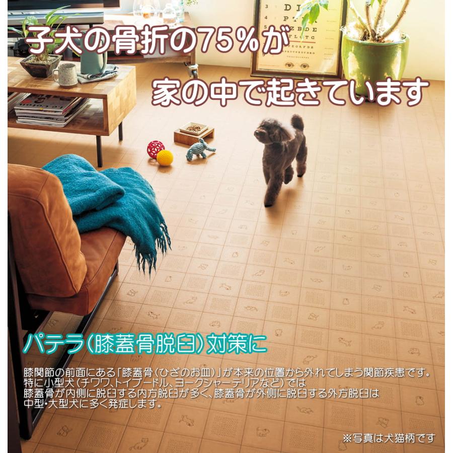ペット カーペット 消臭 抗菌 はっ水 防キズ 犬 猫 フロアマット（ラ