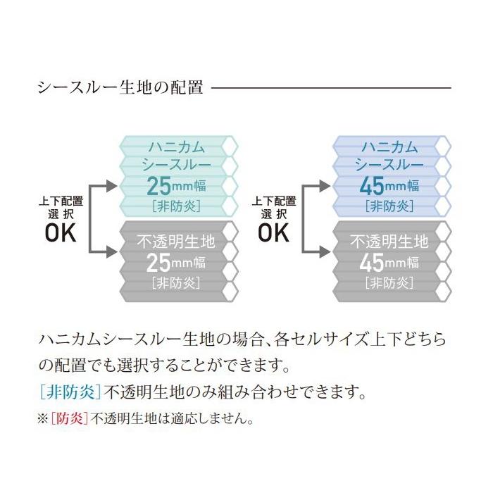 ハニカムスクリーン ニチベイ レフィーナ25・45 オストル 非防炎 H3104〜H3106 ツインスタイル ワンチェーン式 幅160.5〜200cmX高さ221〜260cmまでの画像