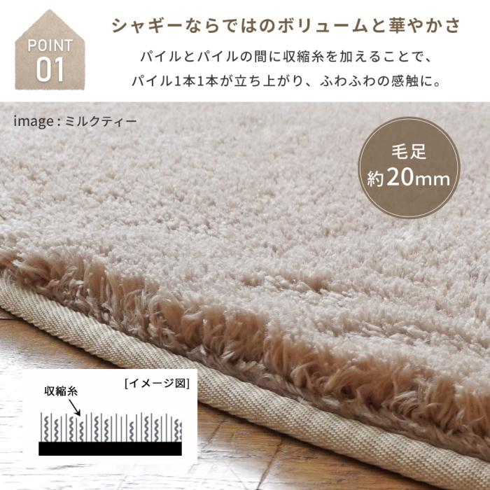 ERARE（エラーレ） ラグ 厚手 新EXマイクロ2層 ウレタンラグ 長方形