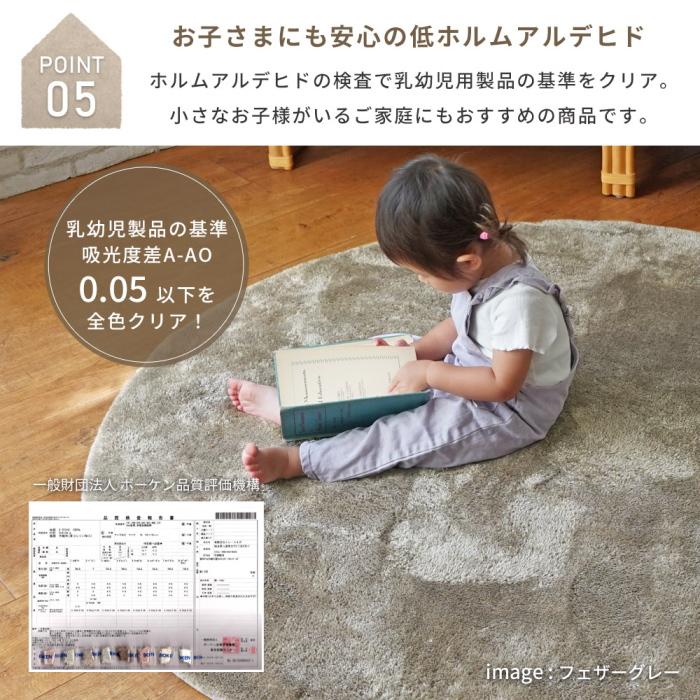 ERARE（エラーレ） ラグ 厚手 新EXマイクロ2層 ウレタンラグ 長方形