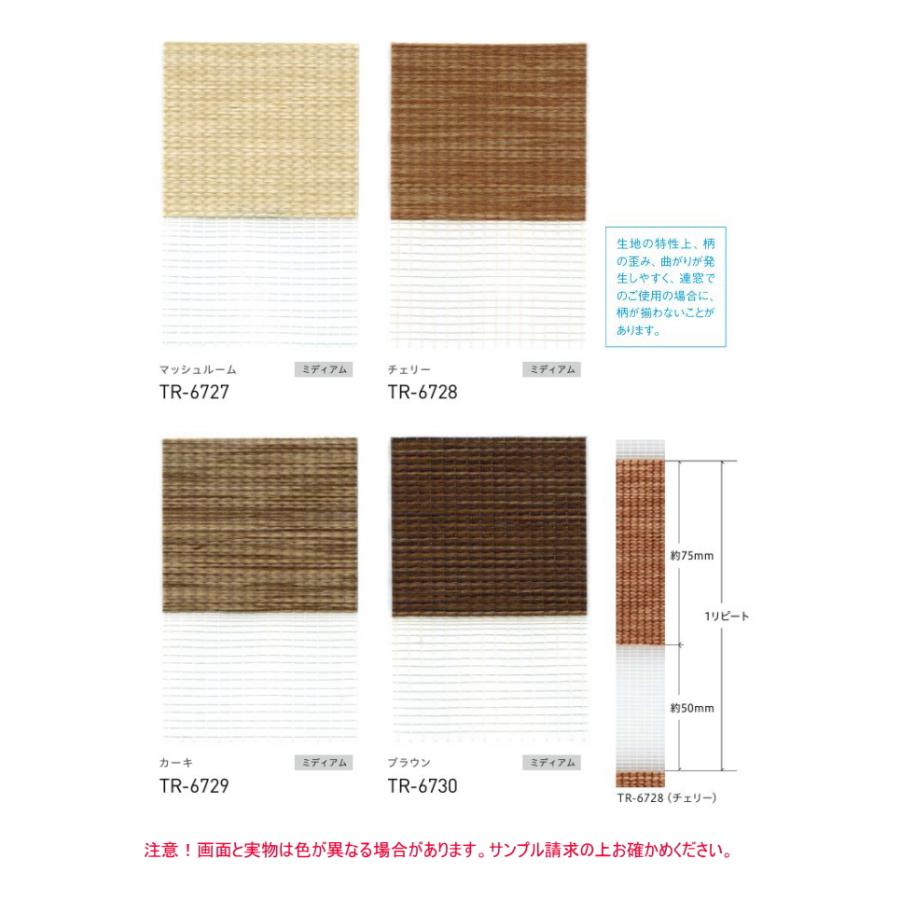 ロールスクリーン 調光 TOSO トーソー 防炎 ビジックライト ウッドルック TR6727〜TR6730 幅120.5〜160cmＸ高さ30〜80cmまで_1