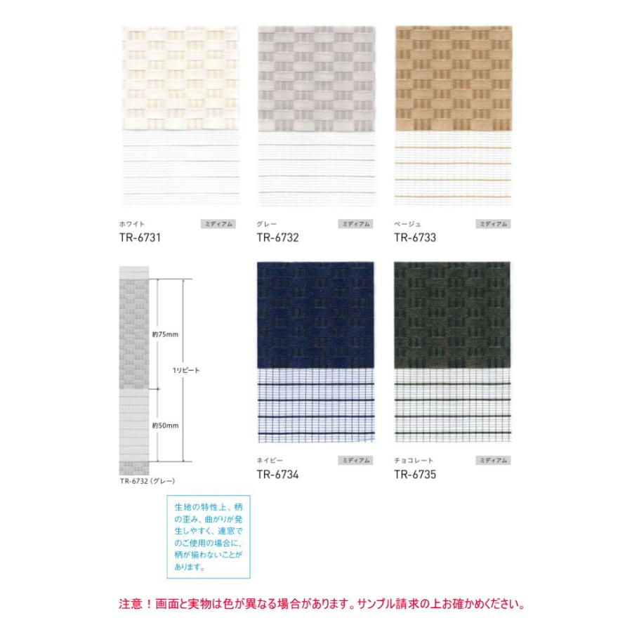 ロールスクリーン 調光 TOSO トーソー 防炎 ビジック小窓 ロペ TR6731〜TR6735 幅10〜29.5cmＸ高さ81〜120cmまで_1
