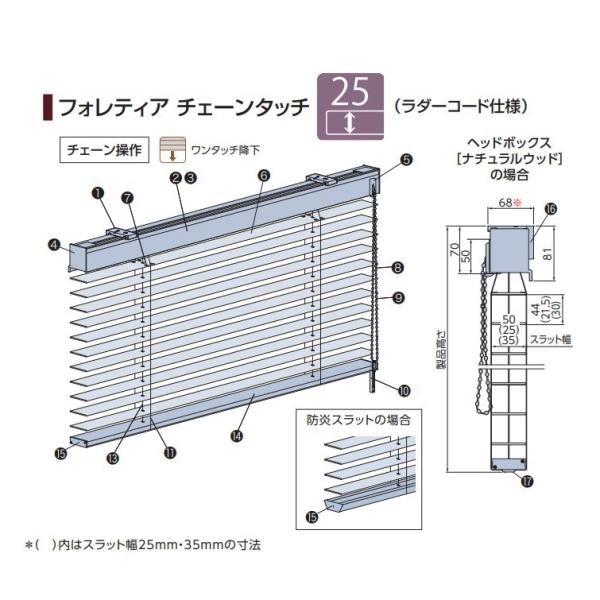 ウッドブラインド 木製 タチカワ フォレティア チェーンタッチ25