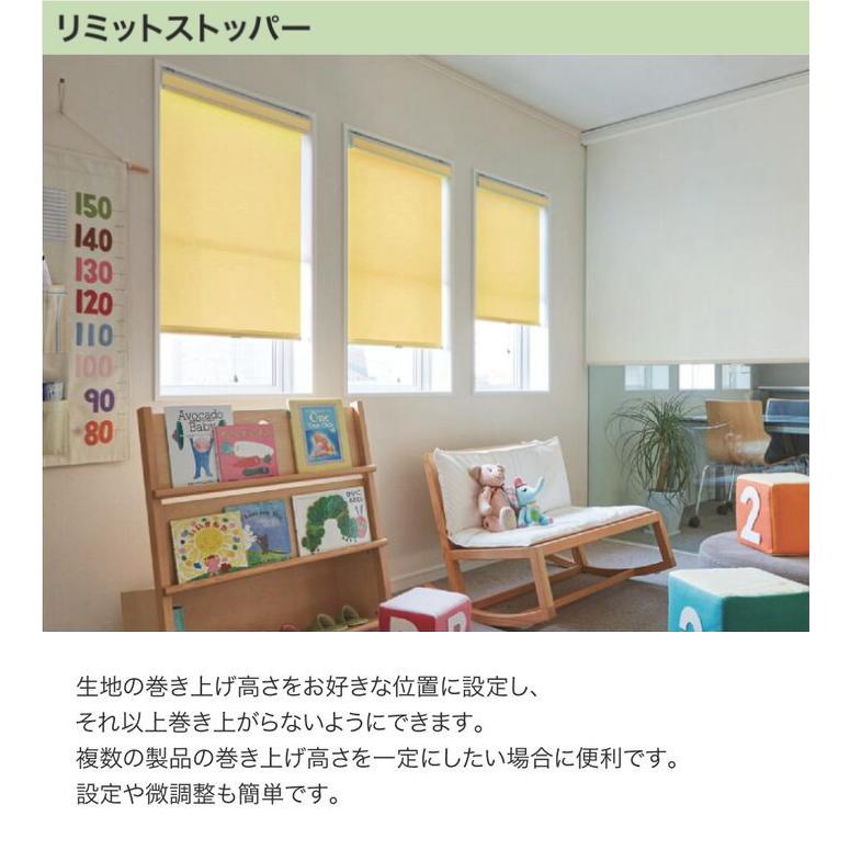 タチカワブラインド ロールスクリーン ラルク用 オプション