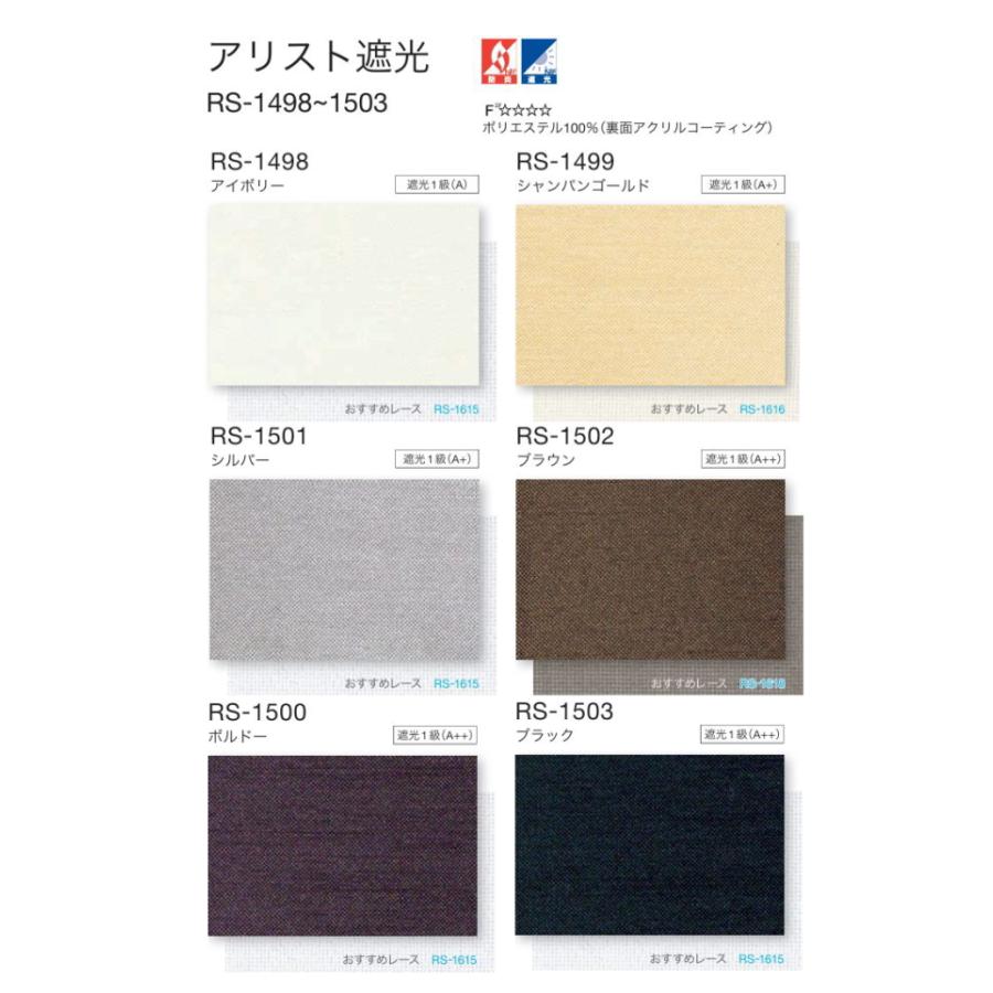 タチカワ ロールスクリーン ロールカーテン ラルク 防炎 遮光1級 アリスト遮光 RS1498〜1503 幅50〜80cmＸ丈161〜200cmまで（シールドなし）_1