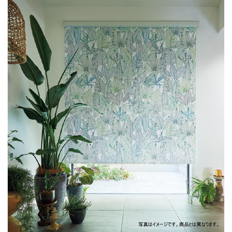 好評継続中 タチカワ ロールスクリーン ラルク 防炎 ウォッシャブル 生地 ヴィラ Rs8001 幅25 49cmｘ丈81 1cmまで シールドなし 即納特典付き