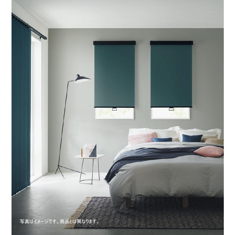 タチカワ ロールスクリーン ラルク 防炎 ウォッシャブル 遮光1〜3級 生地：ピアット RS8401〜RS8428 幅200.5〜250cmＸ丈201〜250cmまで（シールドなし）