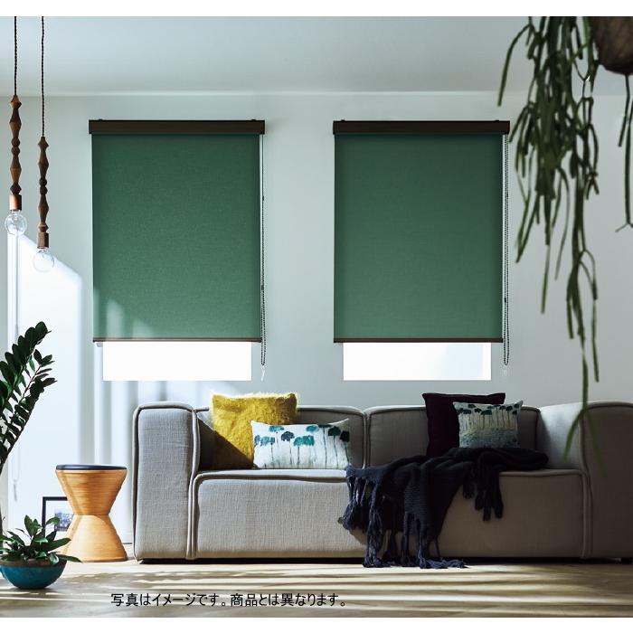 【正規販売店】 タチカワ ロールスクリーン ラルク 防炎 生地：ライフ RS8701〜RS8740 幅250.5〜270cmＸ丈201〜250cmまで（シールドなし） 【2866921441】(14718円)
