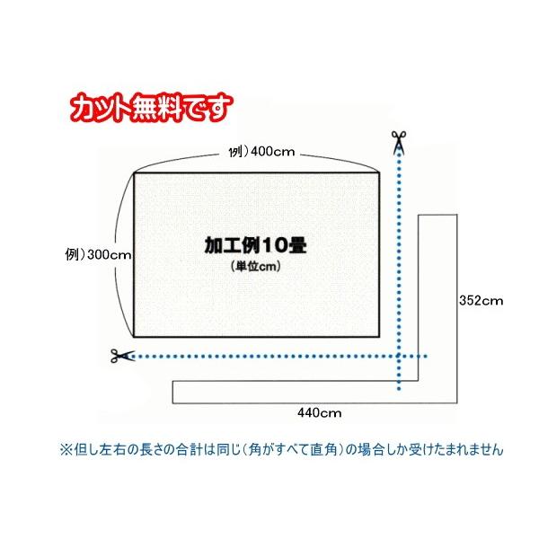 カーペット 4.5畳 東リ 防炎 ウール100% 防ダニ 抗菌 アングレーヌ 江戸間4.5畳 幅261×長さ261ｃｍ（受注製作商品・他同梱不可）_5
