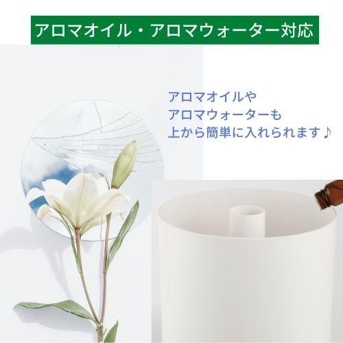 次亜塩素酸水 加湿器 次亜塩素酸水対応噴霧器  除菌スプレー 弱酸性  衛生 清拭 消臭剤  高濃度次亜塩素酸水溶液1000ppm 800ml2個付 翌営業日までの発送 |  | 05