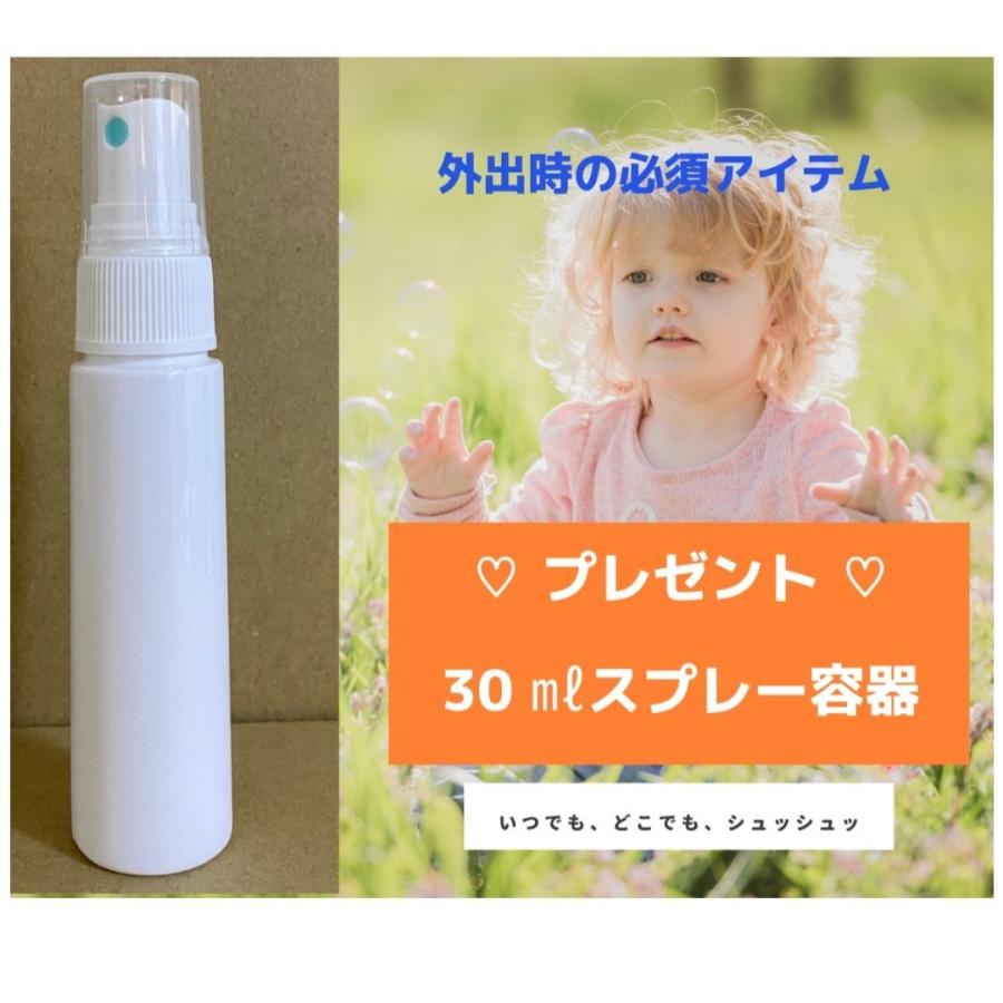 次亜塩素酸水 除菌スプレー 弱酸性 衛生 清拭 消臭剤 高濃度次亜塩素酸水溶液 1000ppm 800ml |  | 15