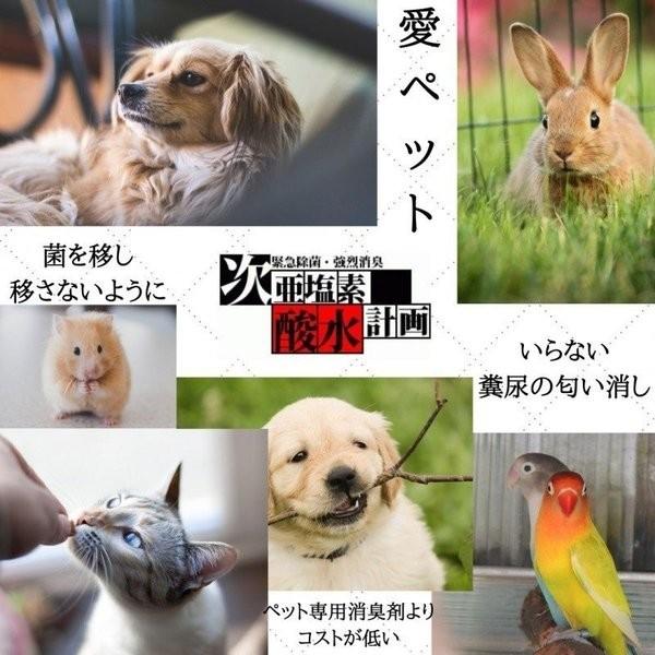 次亜塩素酸水 除菌スプレー 弱酸性 衛生 清拭 消臭剤 高濃度次亜塩素酸水溶液 1000ppm 800ml |  | 04