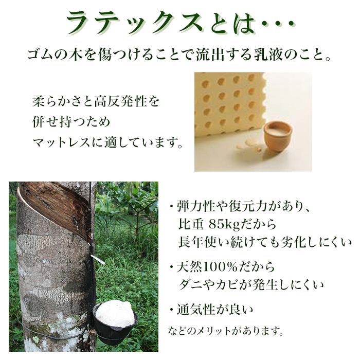 グリーンラテックス greenlatex 厚さ6cm シングル 天然ラテックス