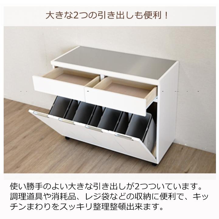 ダストボックス カップボード ダストカウンター キッチンごみ箱 ダストBOX 4分別 幅100 100の画像