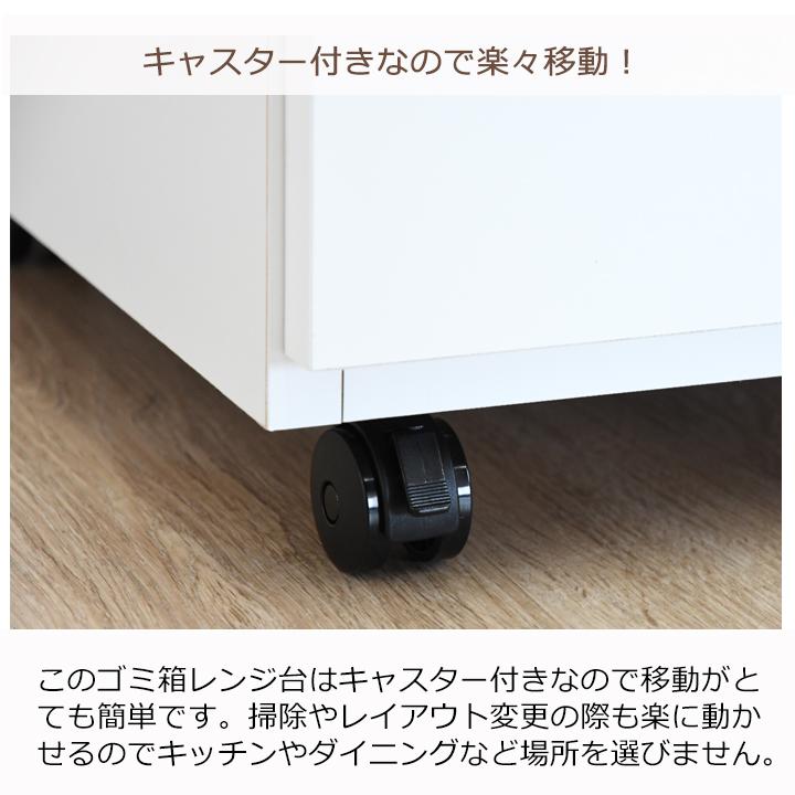 ダストボックス カップボード ダストカウンター キッチンごみ箱 ダストBOX 4分別 幅100 100の画像