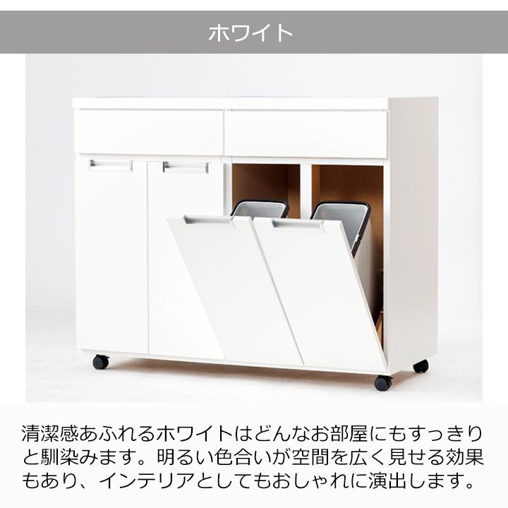 ダストボックス カップボード ダストカウンター キッチンごみ箱 ダストBOX 4分別 幅100 100の画像