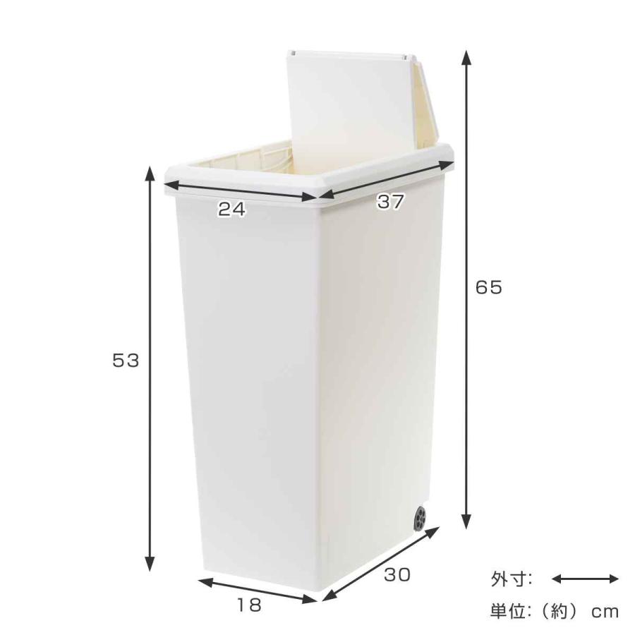 ゴミ箱 30L 同色2個セット スライドペール リーフ ふた付き （ ごみ箱 30リットル 30l キッチン 分別 ダストボックス スライド 棚下 スリム ）｜interior-palette｜09