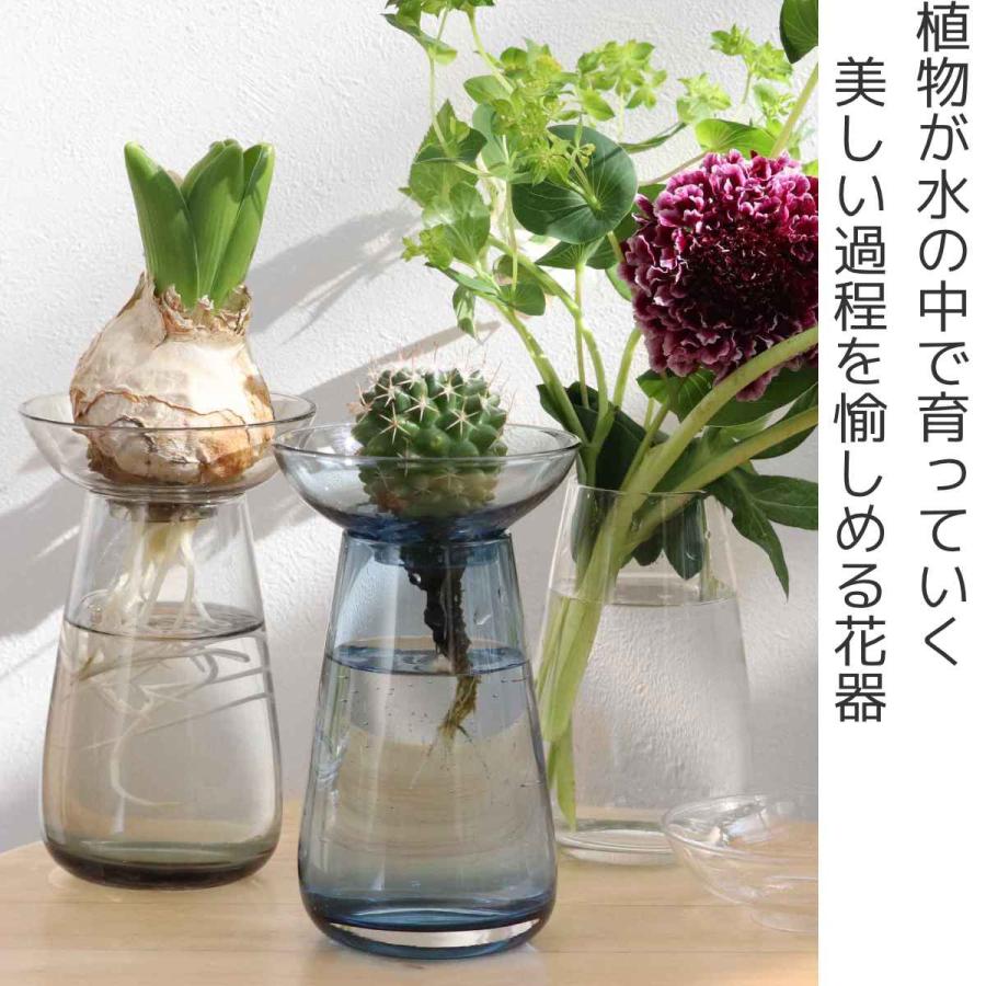 キントー 花器 AQUA CULTURE VASE Sサイズ ガラス 花瓶 おしゃれ （ KINTO フラワーベース 一輪挿し 花 グリーン 栽培 ハーブ ）｜interior-palette｜05