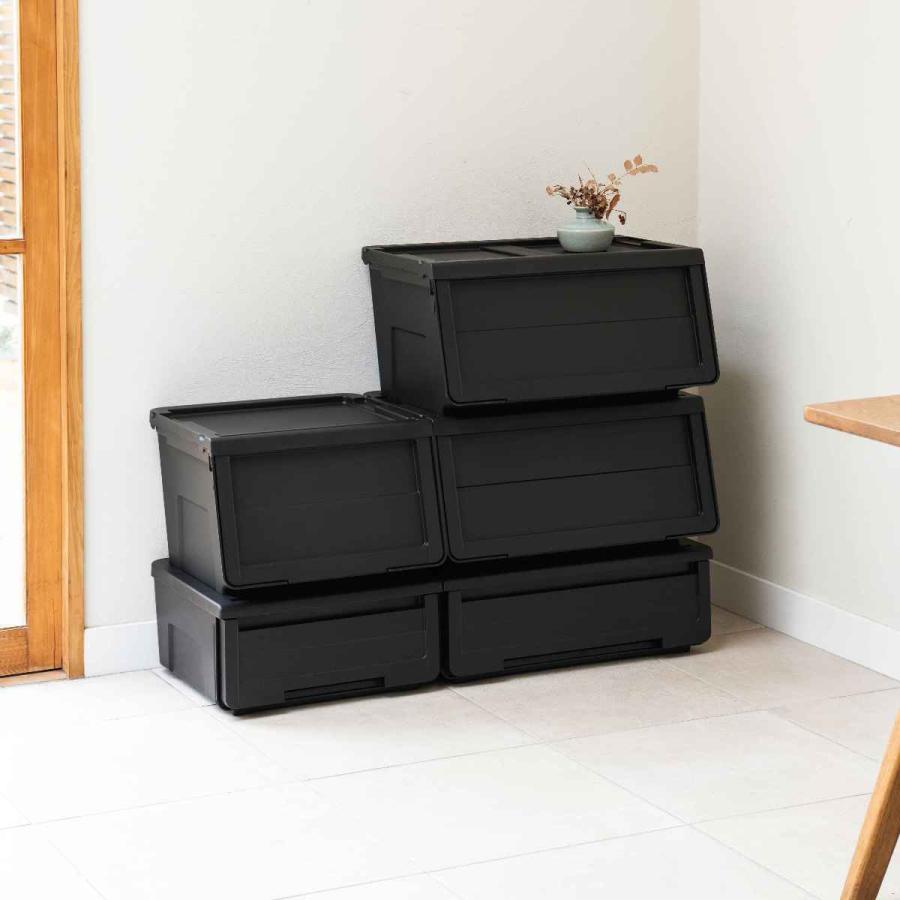 天馬 収納ケース カバゾコ 幅60×奥行40×高さ22cm プラスチック