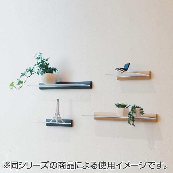 ウォールシェルフ スリムシェルフ アクリル板 飾り棚 ディスプレイ 幅