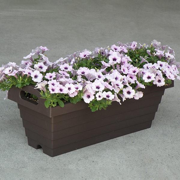 プランター ハンディプランター 長角型 幅55cm 18個セット 植木鉢 鉢 園芸用品 ガーデニング set2 インテリアパレットヤフー店 通販 Yahoo ショッピング