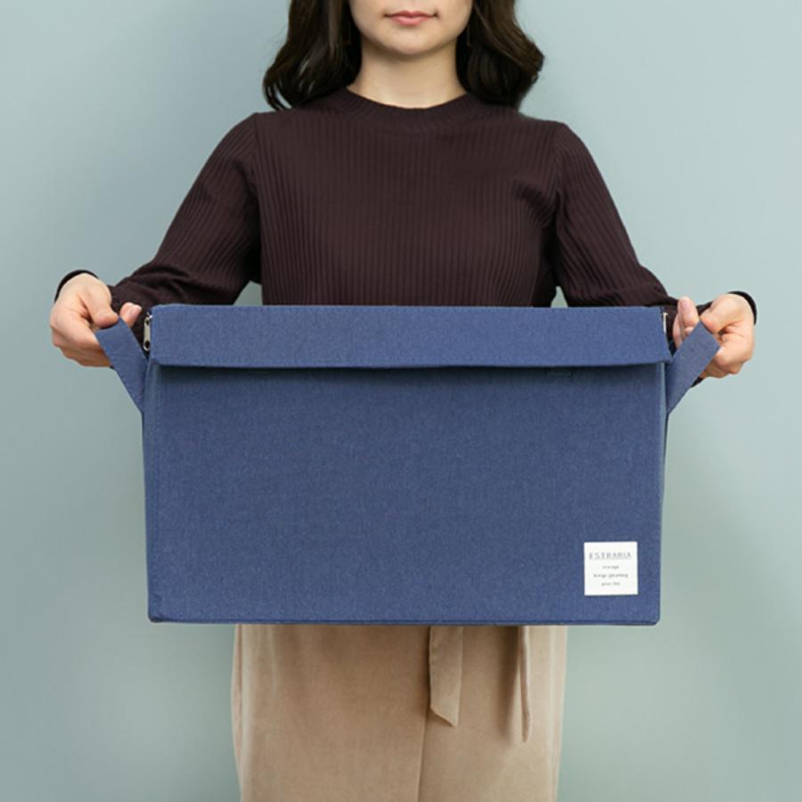 東洋ケース（TOYOCASE） 収納ボックス ストレリアナチュレ L 幅43×奥行