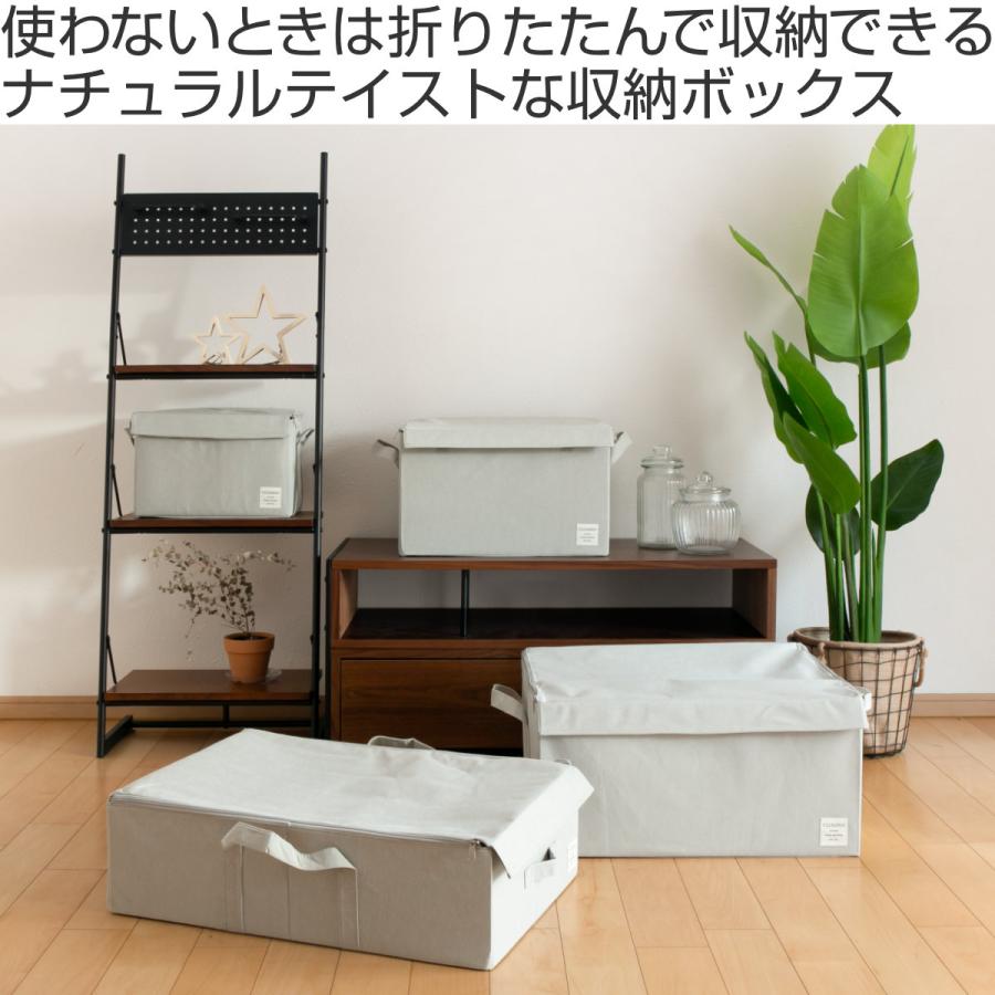 東洋ケース（TOYOCASE） 収納ボックス ストレリアナチュレ L 幅43×奥行