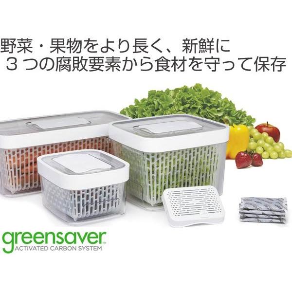 OXO（オクソー） グリーンセーバー フードキーパー 4.0L （ 保存容器
