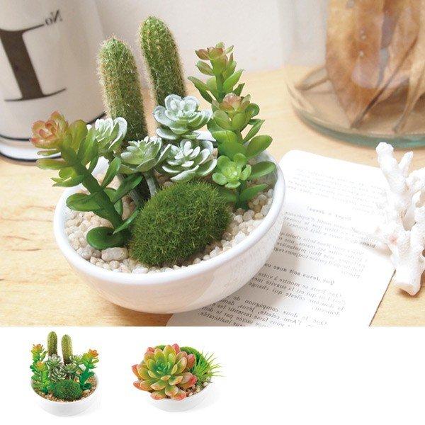人工観葉植物 消臭アーティフィシャルグリーン サキュレントリフレリウム M 丸型 造花