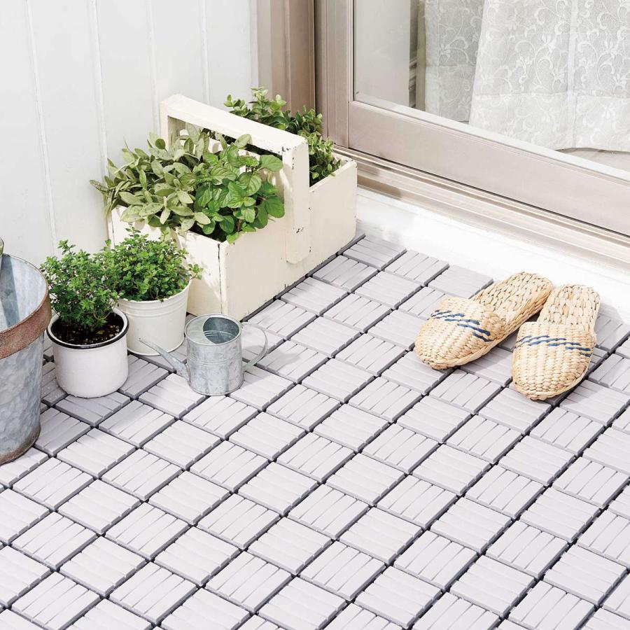 斑入り カンアオイ タマノカンアオイ 城山(しろやま)