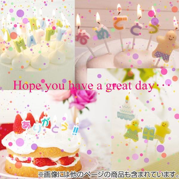 キャンドル ハッピーバースデーキャンドルギフト （ ローソク