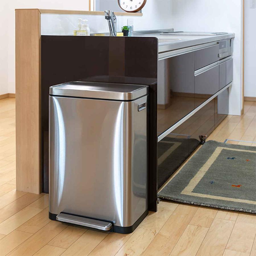 EKO（イーケーオー） ゴミ箱 40L 分別 20L+20L Xキューブステップビン